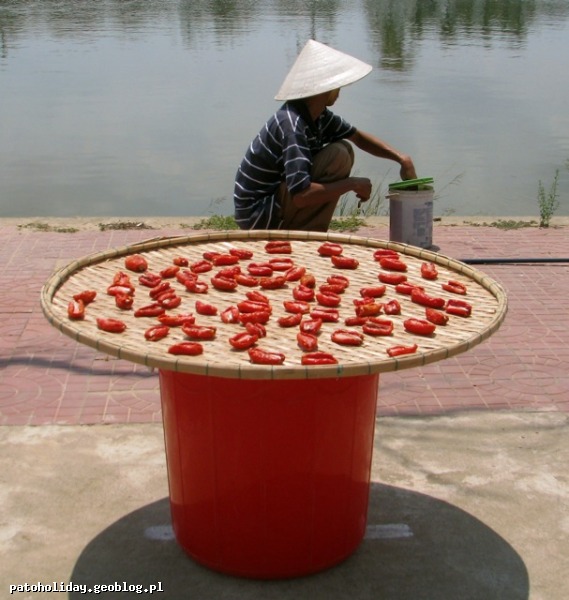 zdjęcia z Wietnamu